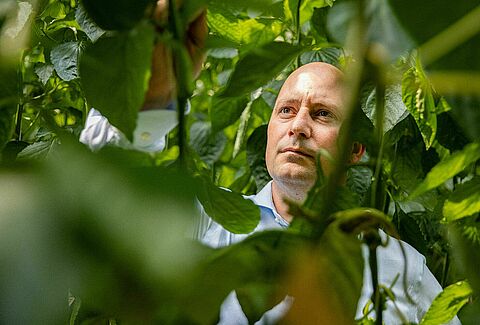 Une gamme impressionnante de solutions à base d'acariens prédateurs grâce à la recherche et à l'innovation continues