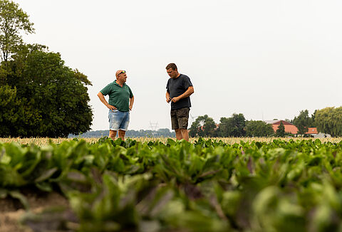 Vers un avenir sans produits chimiques dans l'agriculture : La vision du producteur Koen