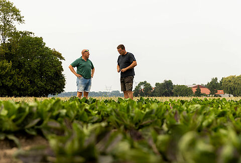 Vers un avenir sans produits chimiques dans l'agriculture : La vision du producteur Koen