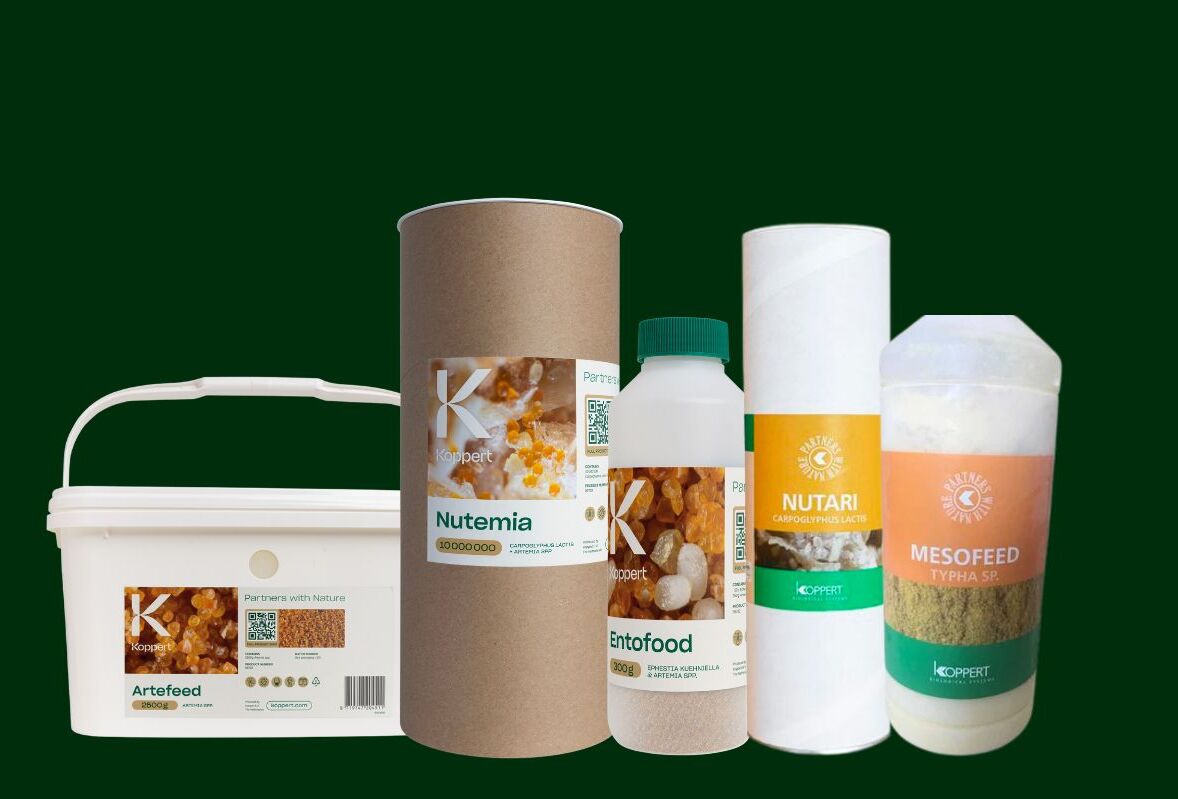 Supplementary Feeding for Biological Control: A Complete Guide