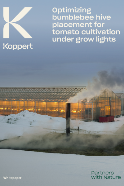 Optimal bumblebee hive placement for tomato cultivation under artificial lights