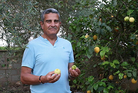 Le parcours de l'agrumiculture durable dans l'agriculture