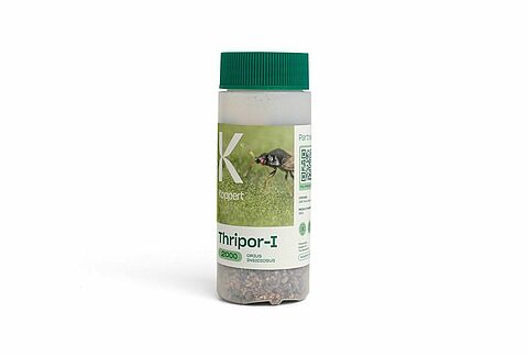 Thripor-I