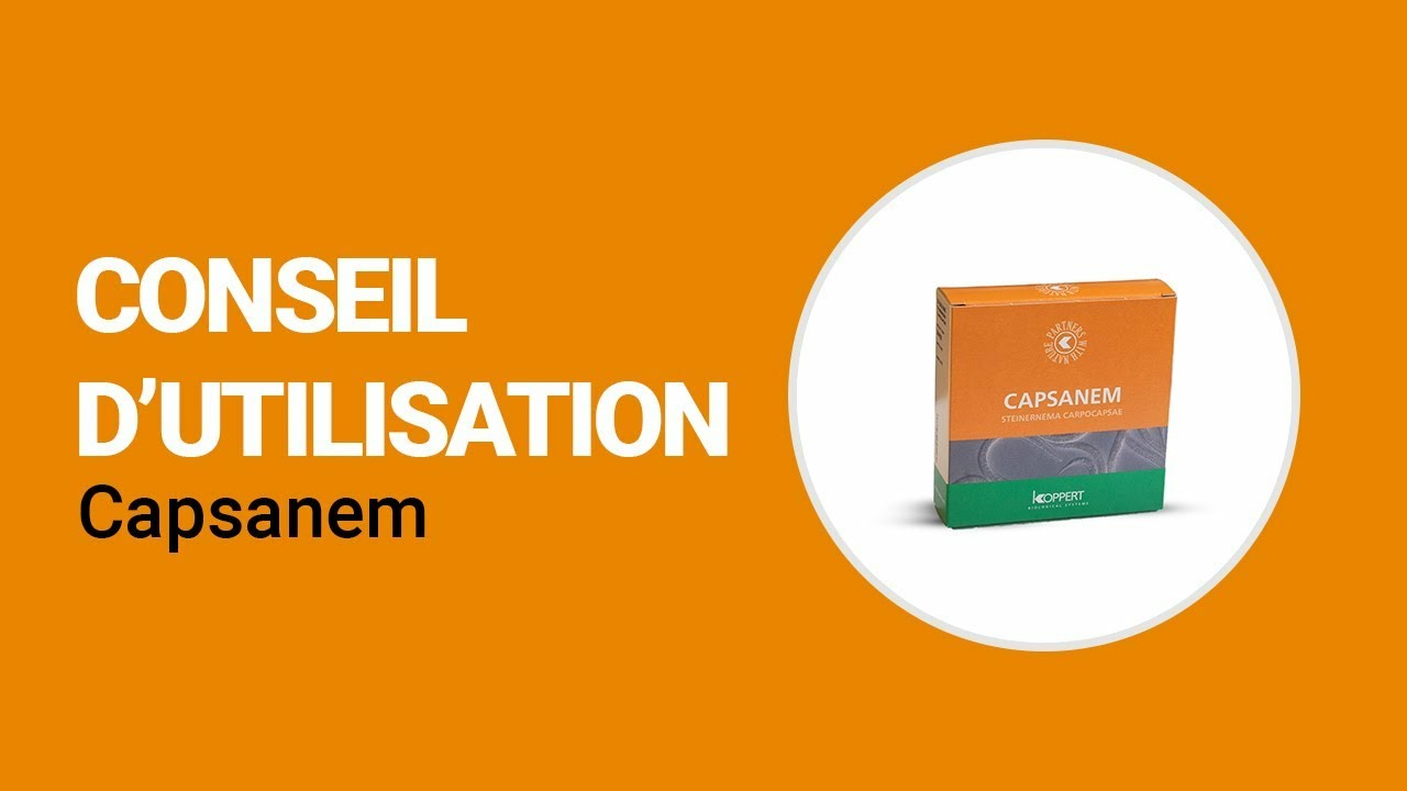 Comment utiliser Capsanem de Koppert