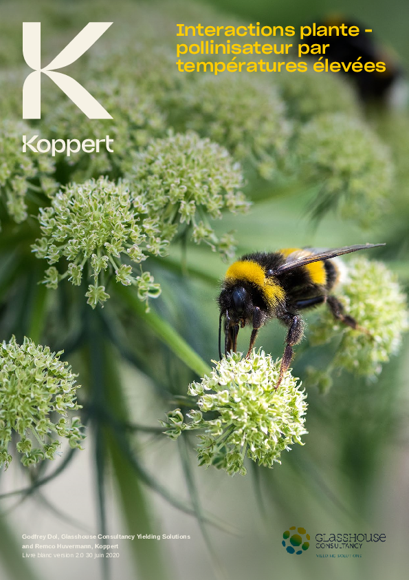 Interactions plante-pollinisateur par températures élevées