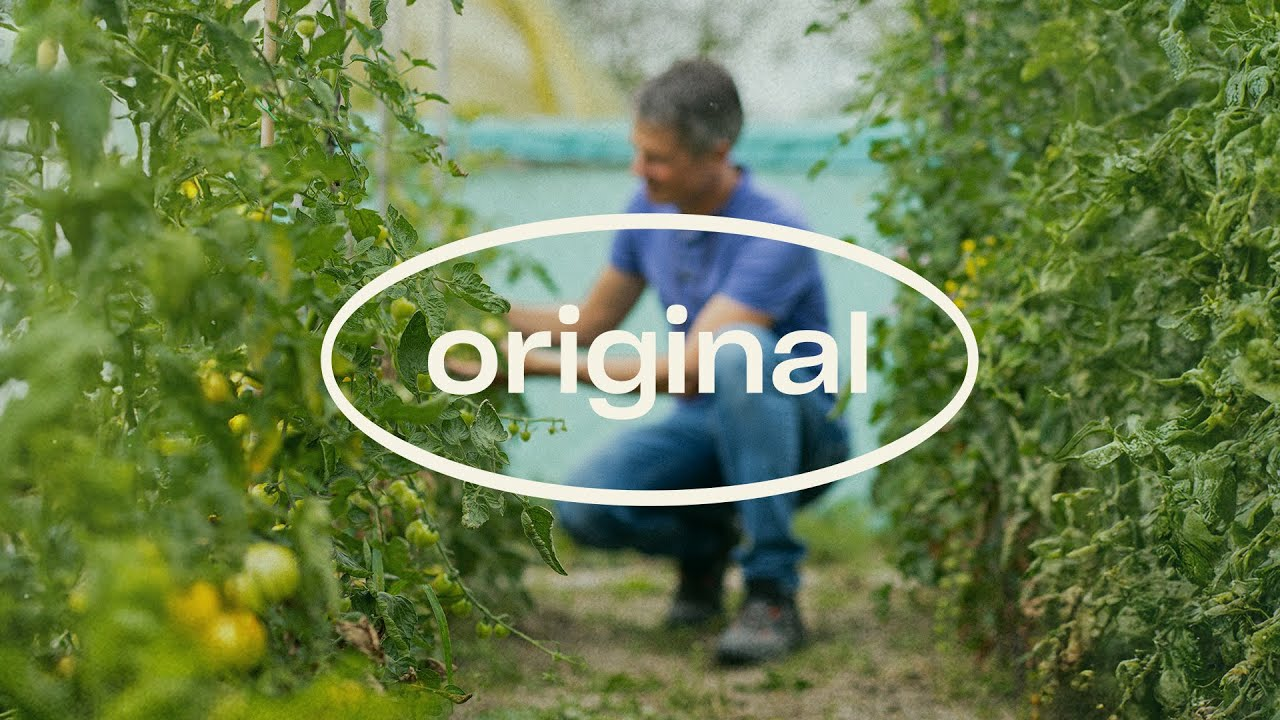 Tom Groot shares how we stay ahead of the game – Original Stories about Predatory Mites