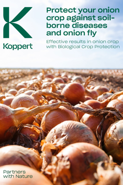 Trial results Onion fly and Fusarium wilt