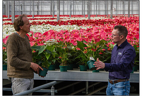 Amazone Plants poursuit le chemin de la culture biologique