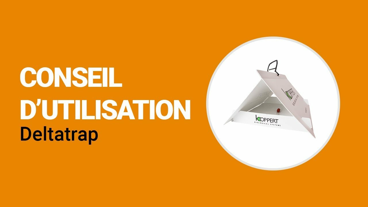 Comment utiliser le Deltatrap de Koppert