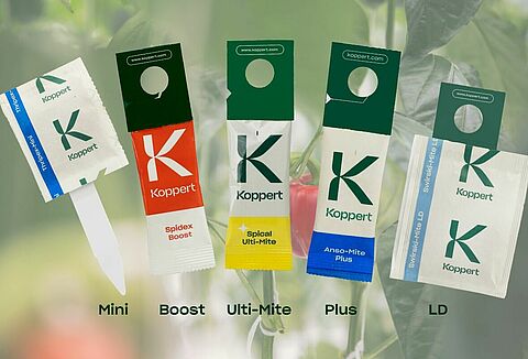 Plus, Ulti-Mite or LD. Which Sachet is Best for You?