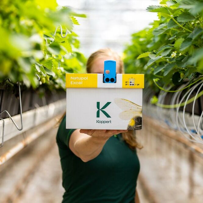 Agriflora PRO - Feullet technique