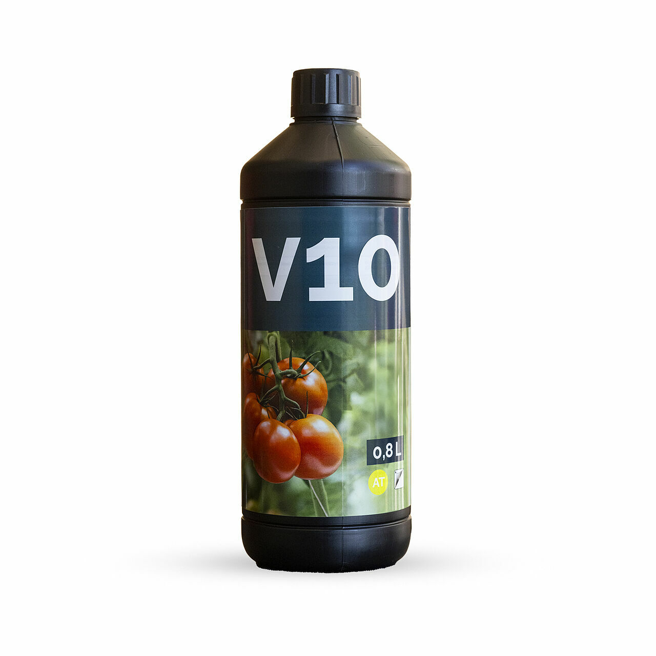 V10.jpg