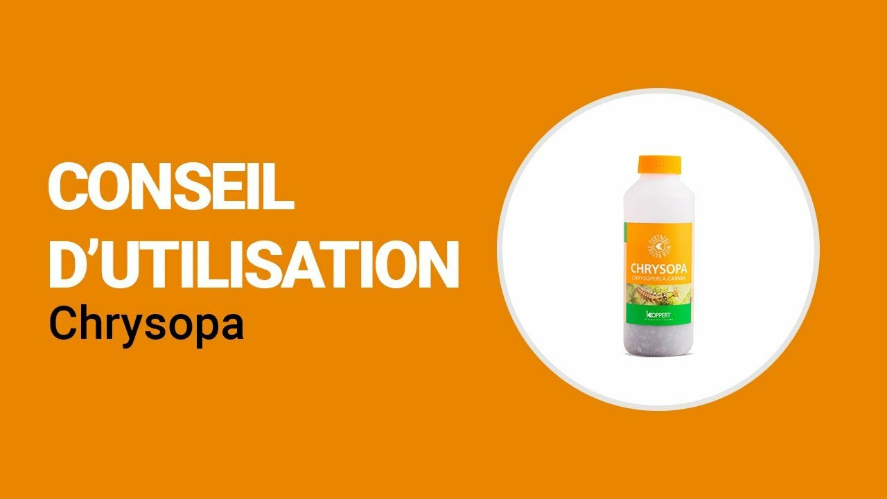 Comment utiliser Chrysopa de Koppert
