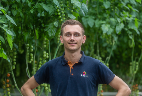 Les producteurs d'enracinement sont satisfaits de Mycotal contre l'Aleurode