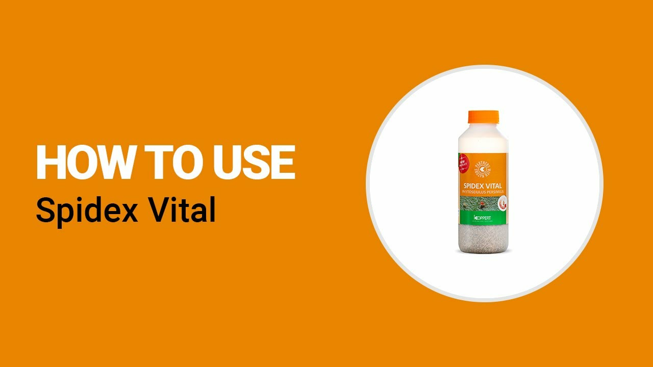 How to use Spidex Vital from Koppert How to use Spidex Vital from Koppert