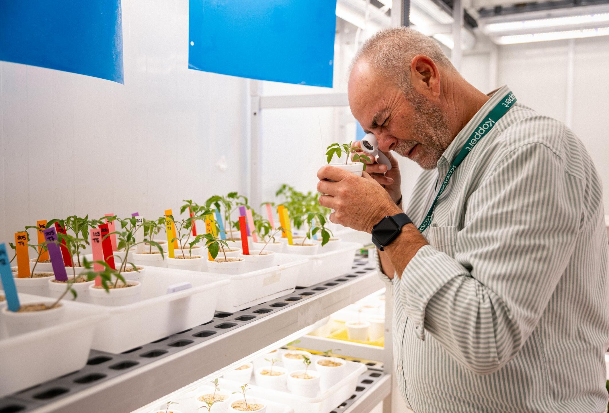 Transforming crop protection: the rise of predatory mites