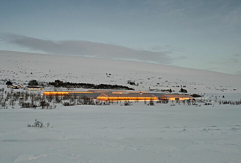 Conseils pour la pollinisation des cultures éclairées artificiellement