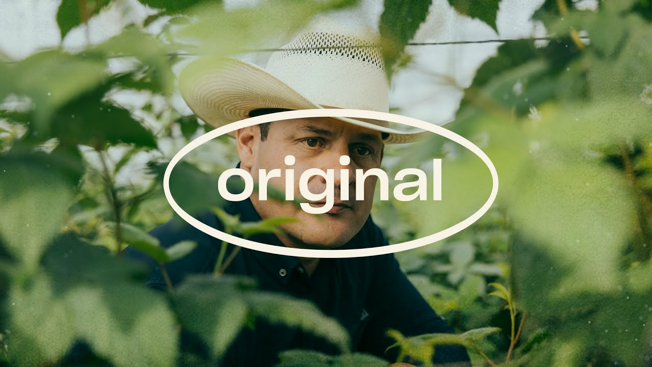 How Fernando Rodríguez’s vision on sustainable production led him to Koppert - Original Stories