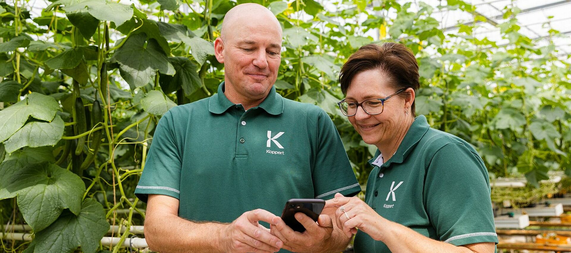 Customer Experiences - Crop Scouting