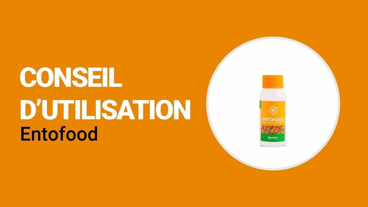 Comment utiliser Entofood  de Koppert